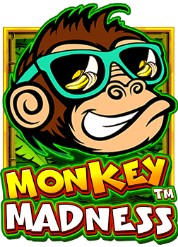 dg casino ดี ไหม? รู้จักกันก่อนตัดสินใจเล่น